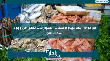 غرامة 10 آلاف دينار لأصحاب السيارات.. تحقق من وجود اسمك الآن